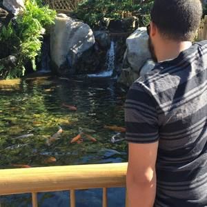 Meet your Posher, Luis